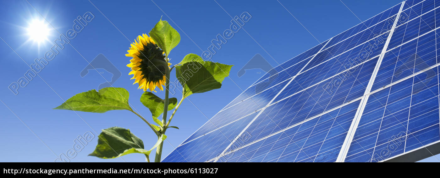 Solar Energie Strom Solarkollektor Sonne Sonnenblume - Lizenzfreies Bild  #6113027