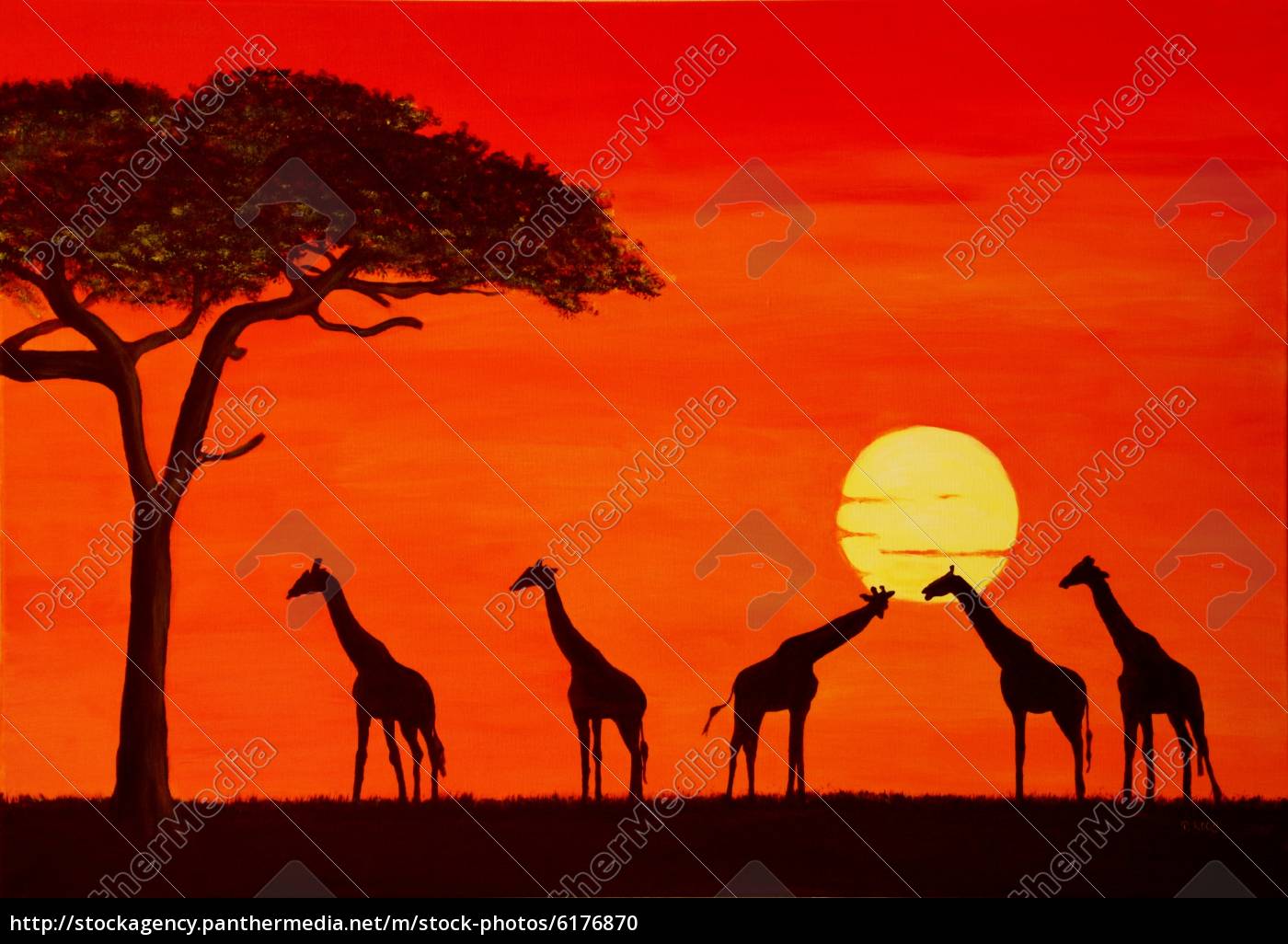 Sonnenuntergang In Afrika Stock Photo Bildagentur Panthermedia