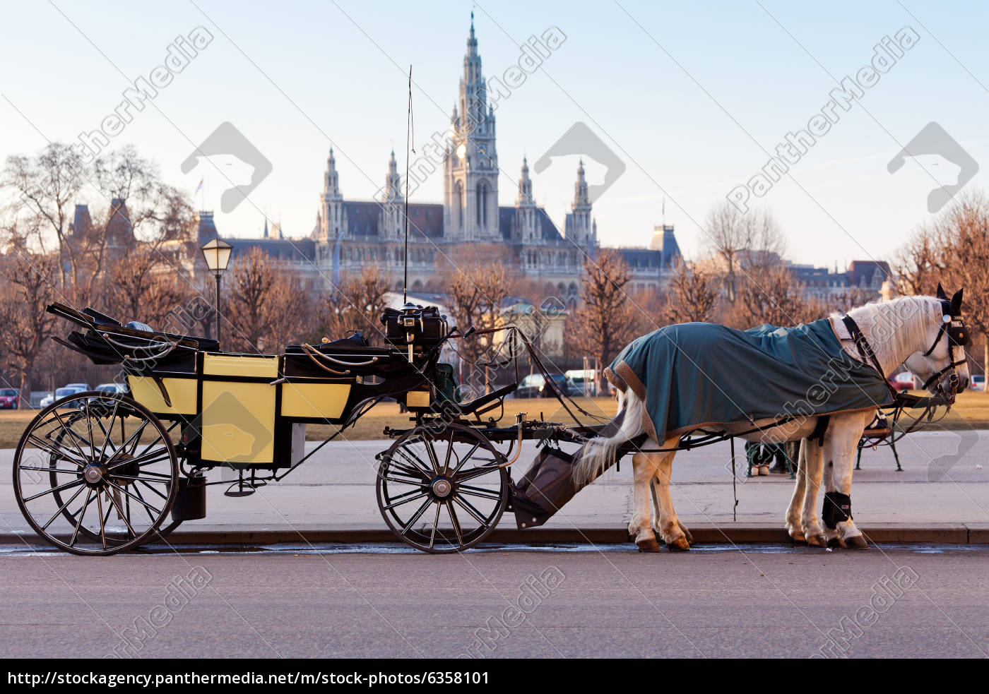 Fiaker In Wien Stockfoto Bildagentur Panthermedia