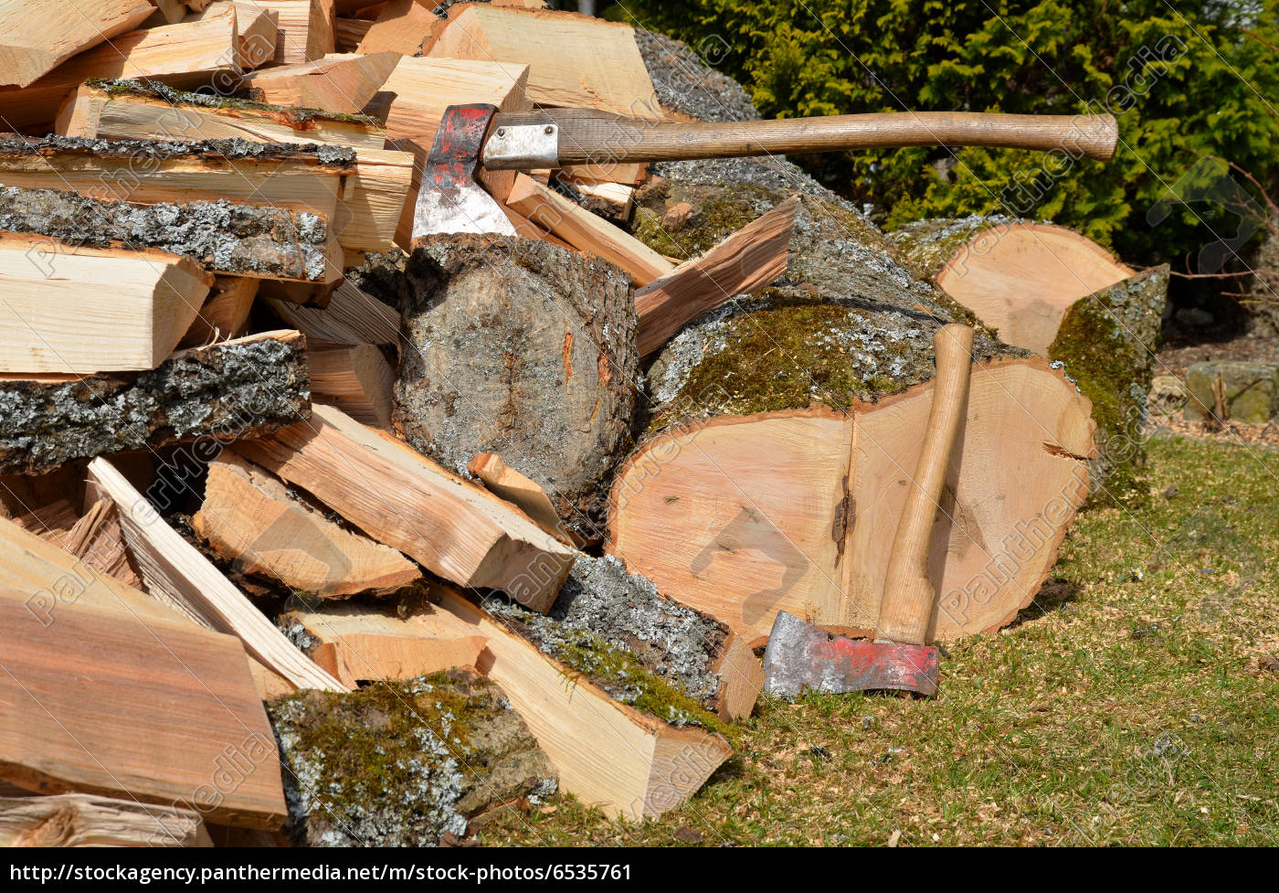 Holz Hacken Feuerholz Esche Laubholz Stockfoto Bildagentur Panthermedia