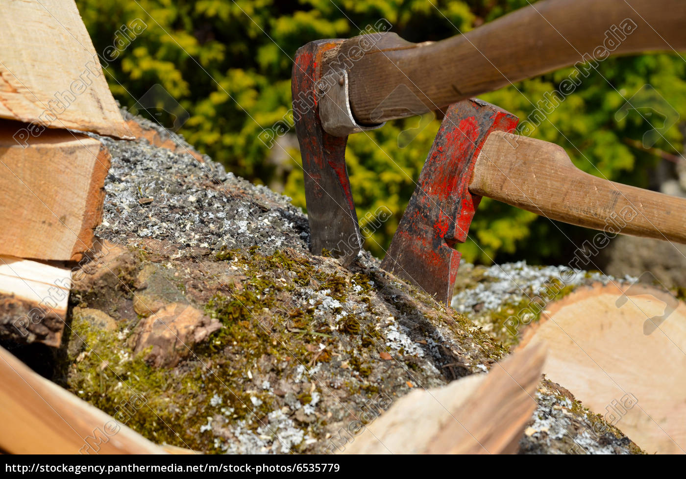 Holz Hacken Feuerholz Esche Laubholz Stockfoto Bildagentur Panthermedia