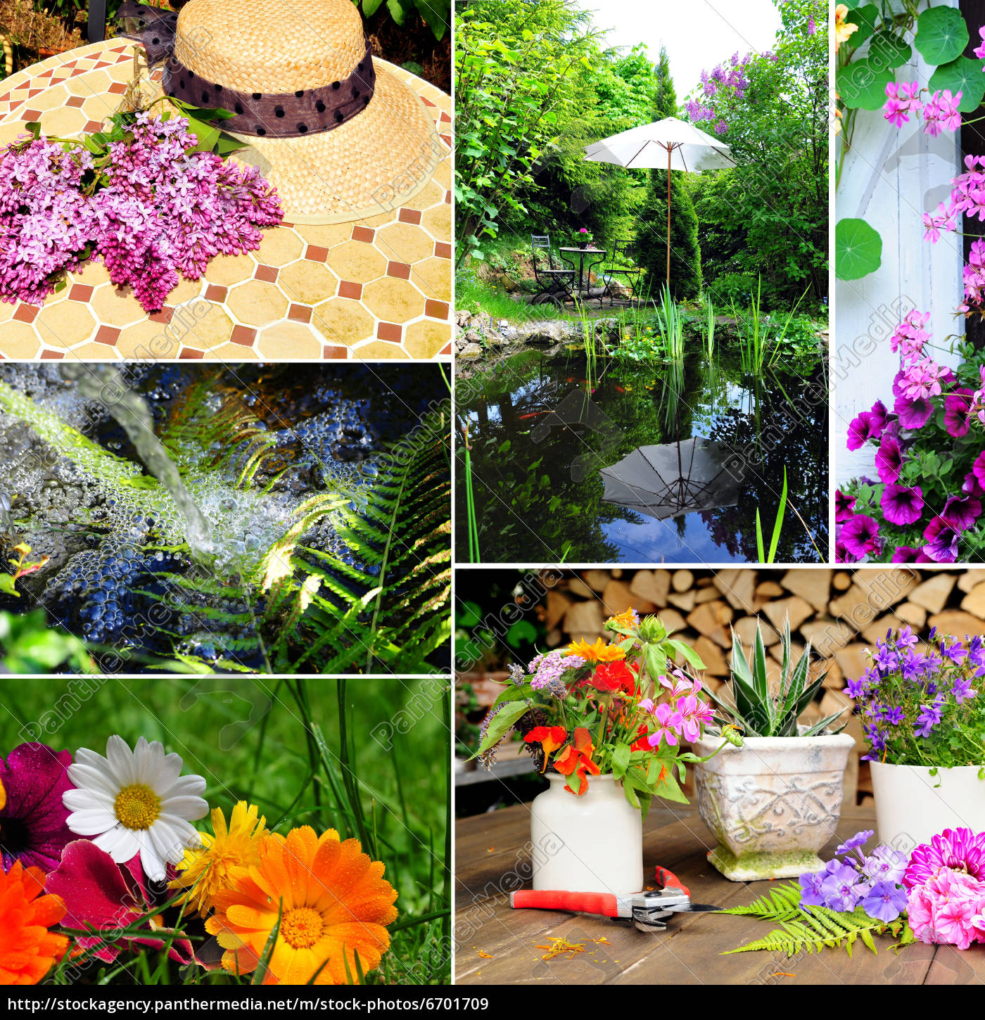 Garten Blumen Collage Stockfoto 6701709 Bildagentur Panthermedia