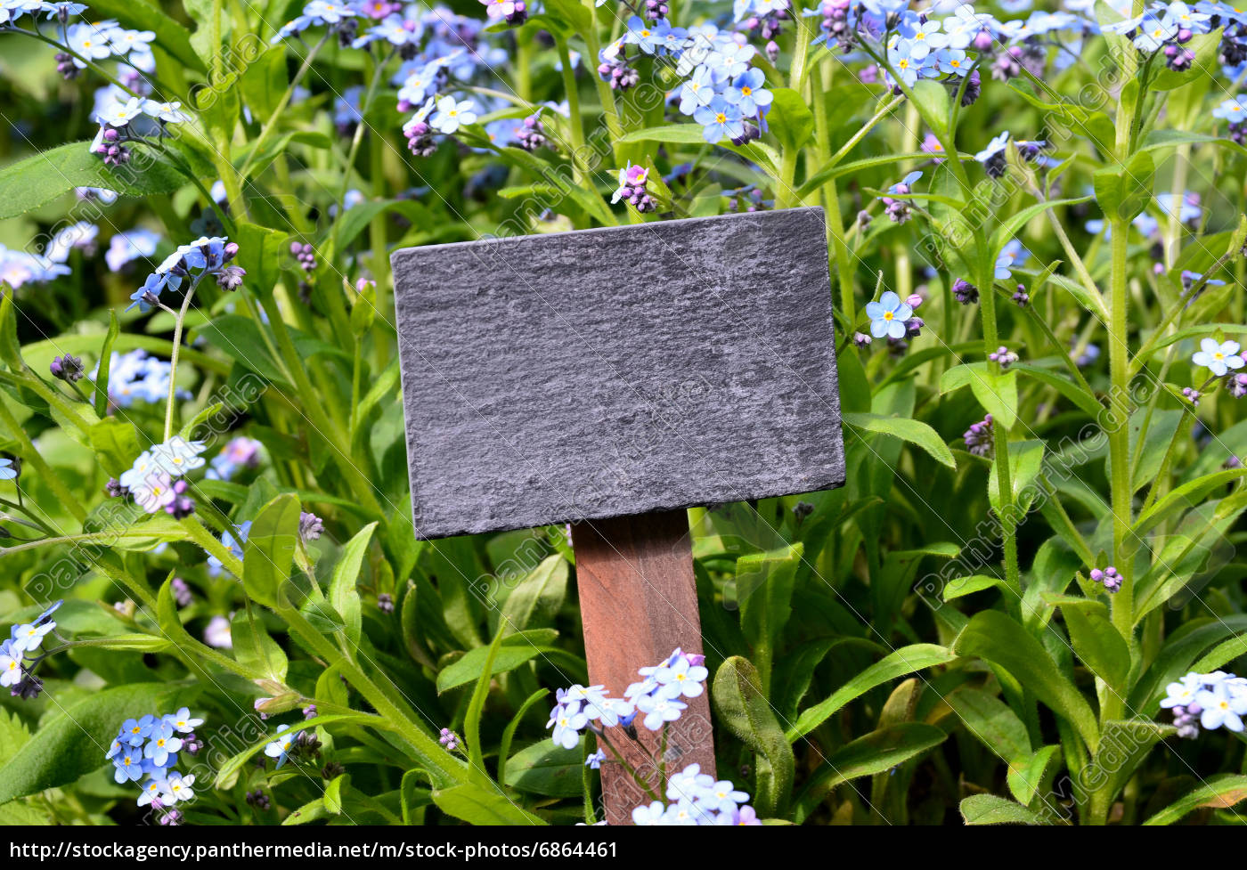 Tafel Frische Krauter Garten Lizenzfreies Bild 6864461