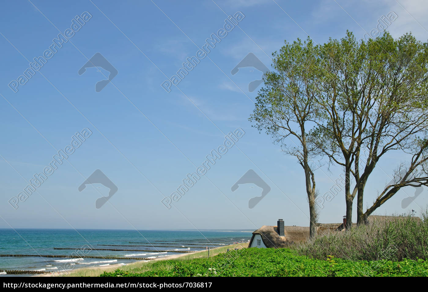 Das Bekannte Haus Am Meer In Ahrenshoop Auf Lizenzfreies Bild