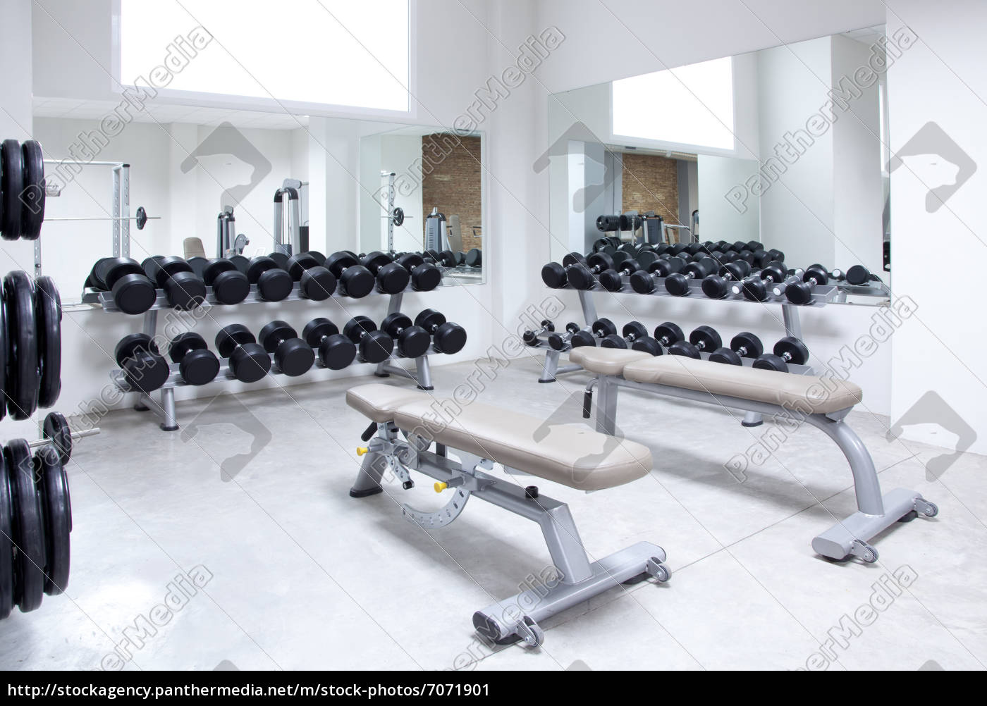 Fitness Club Krafttraining Ausrustung Fitnessstudio Lizenzfreies Bild Bildagentur Panthermedia