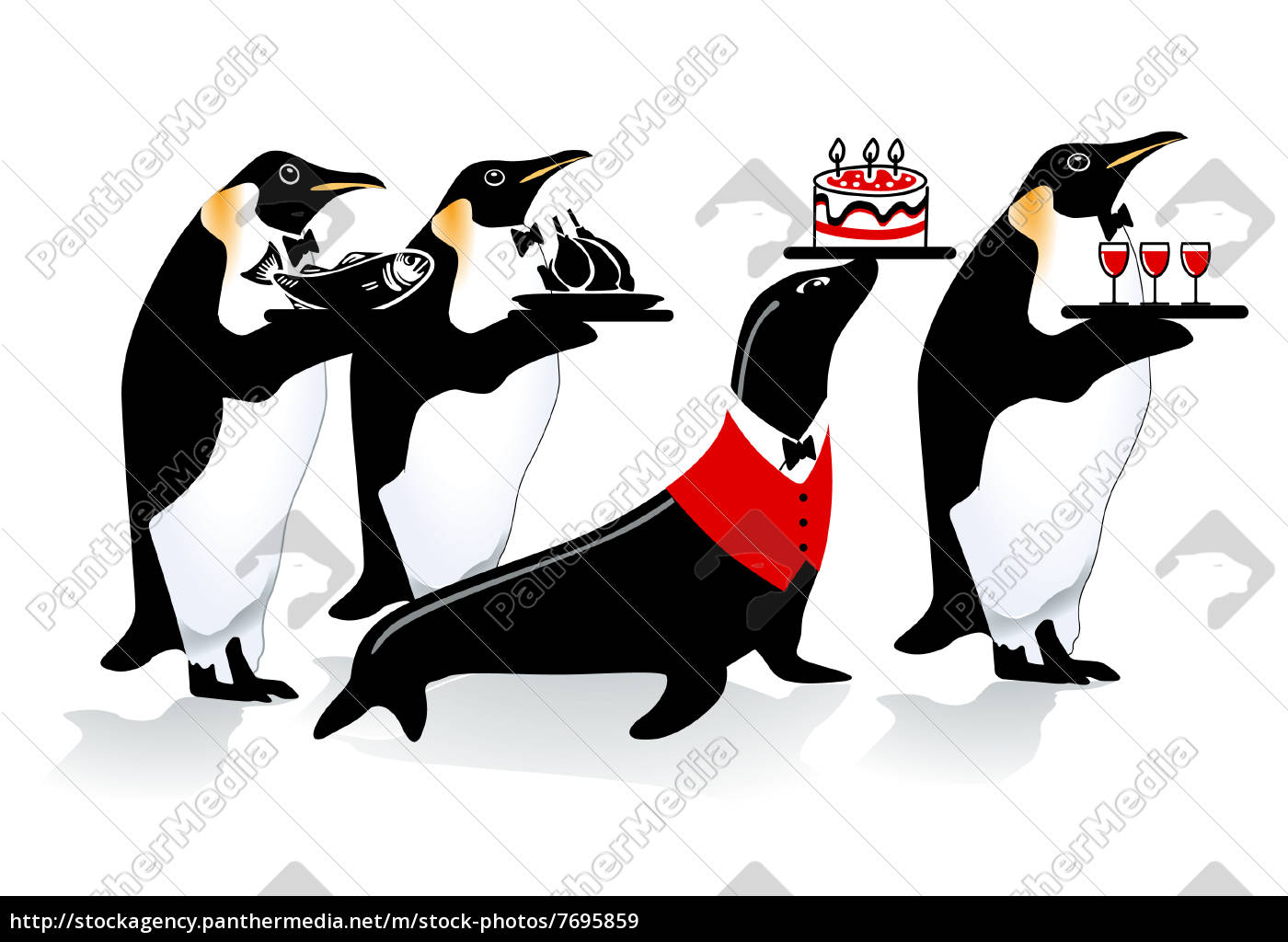 Pinguin Geburtstag - Lizenzfreies Bild - #7695859 | Bildagentur