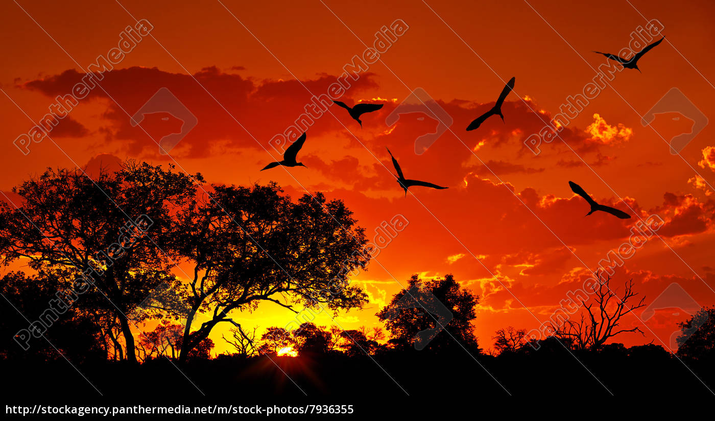 Landschaft Afrikas Mit Warmen Sonnenuntergang Lizenzfreies Bild Bildagentur Panthermedia