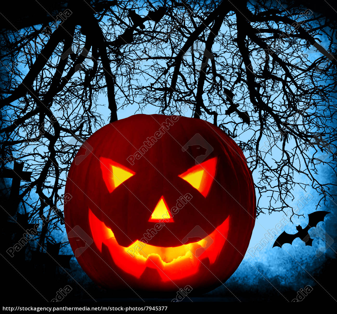 Halloween Kurbis Hintergrund Stockfoto Bildagentur Panthermedia