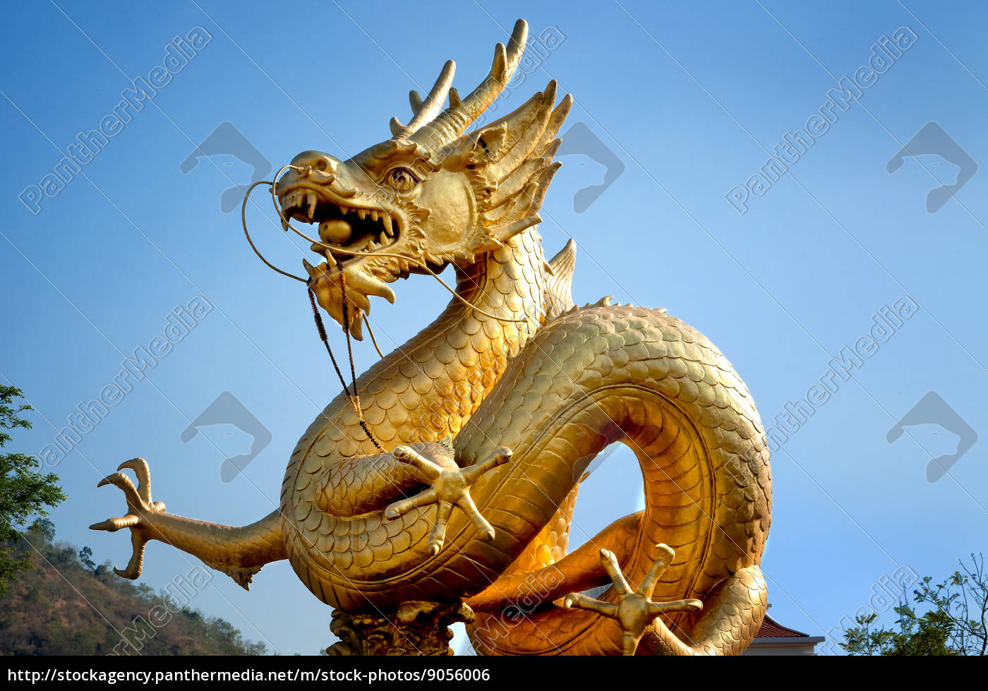 Goldener Drache Uber Blauem Himmel Stock Photo 9056006 Bildagentur Panthermedia