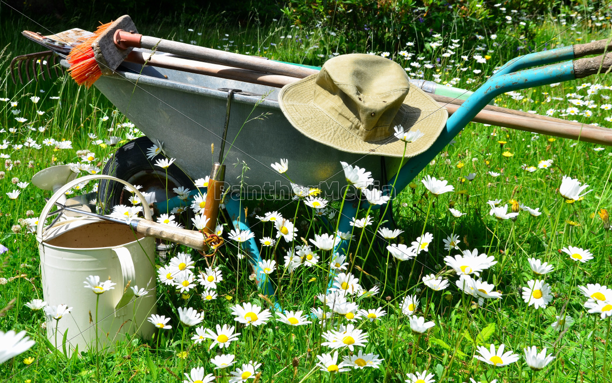 Garten Werkzeug Blumenwiese Stock Photo 9560426 Bildagentur Panthermedia