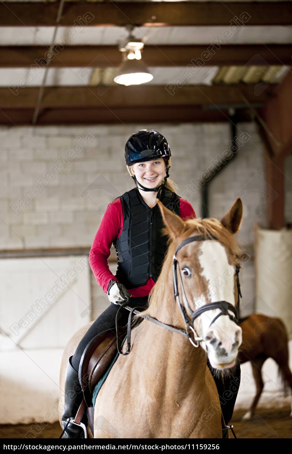 Teen Madchen Reiten Pferd Lizenzfreies Foto Bildagentur Panthermedia