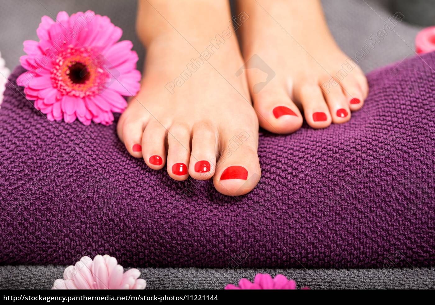 schöne gepflegte weibliche füße mit rotem nagellack - Lizenzfreies Foto ...