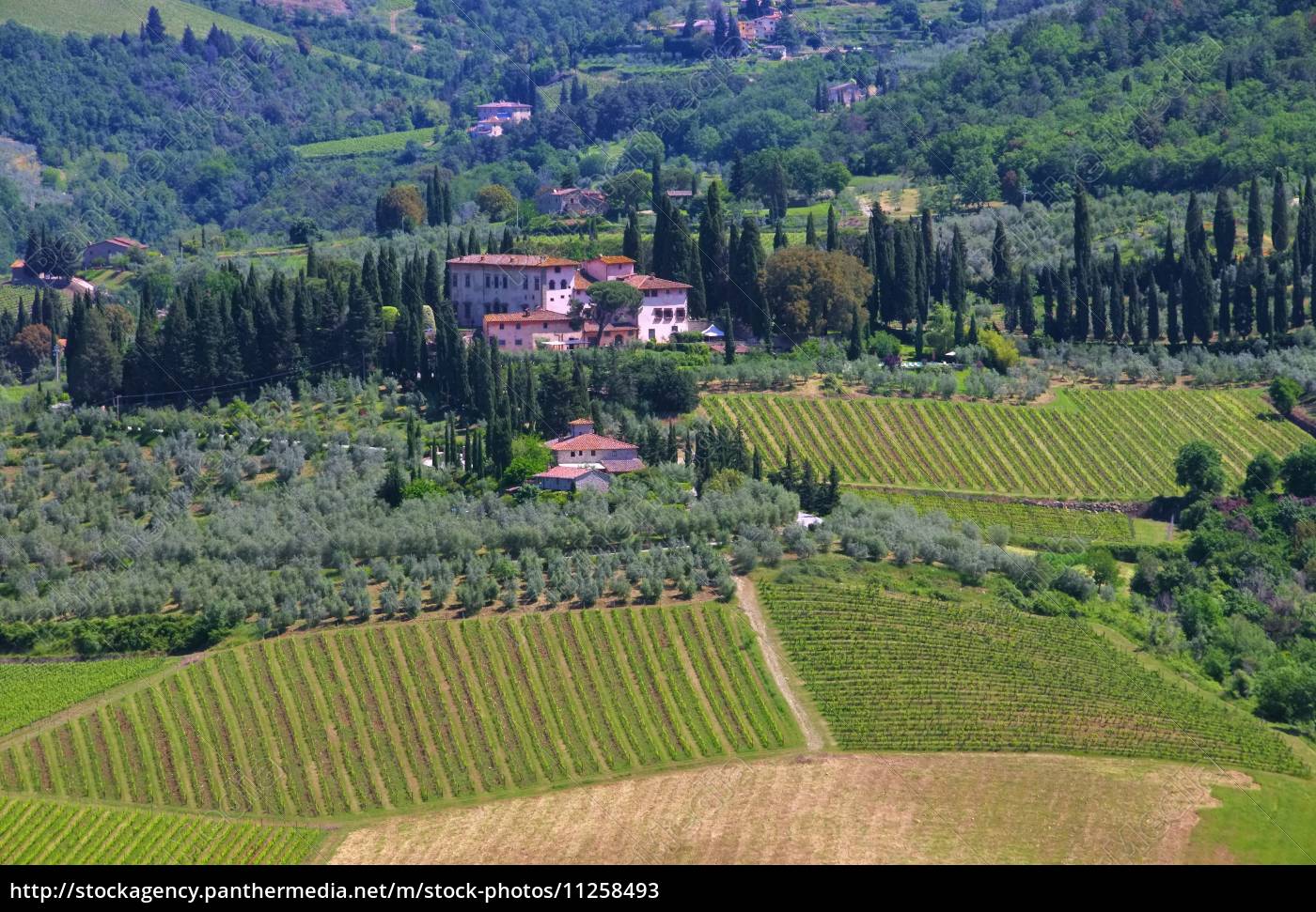 Toskana Weingut Tuscany Vineyard 07 Stockfoto Bildagentur Panthermedia