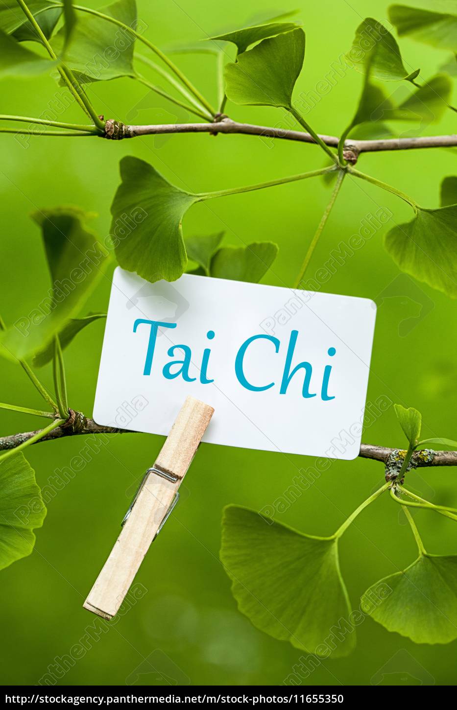 tai-chi-stock-photo-11655350-bildagentur-panthermedia