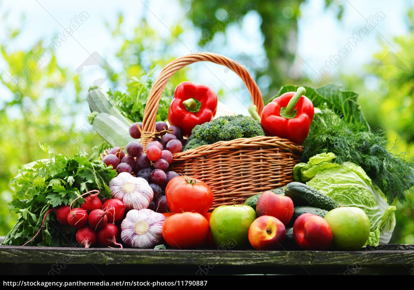 frische biogemüse in weidenkorb im garten Lizenzfreies