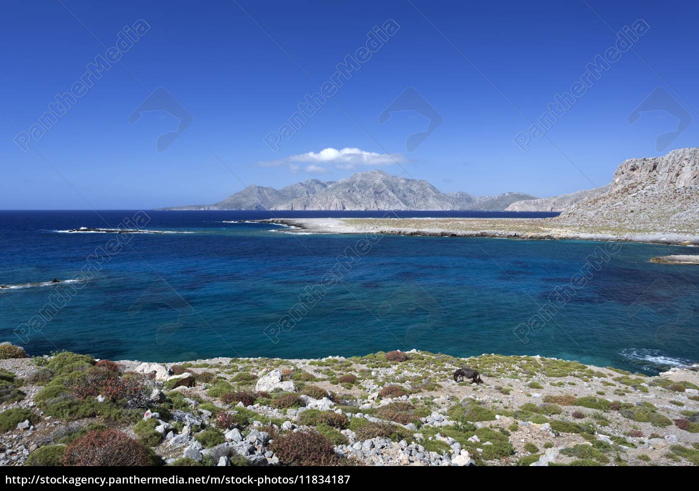 Kustenlandschaft Im Norden Von Karpathos Griechenland Stockfoto Bildagentur Panthermedia