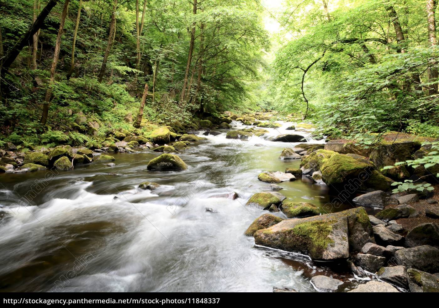 der Fluss Bode im Nationalpark Harz - Lizenzfreies Bild - #11848337 ...