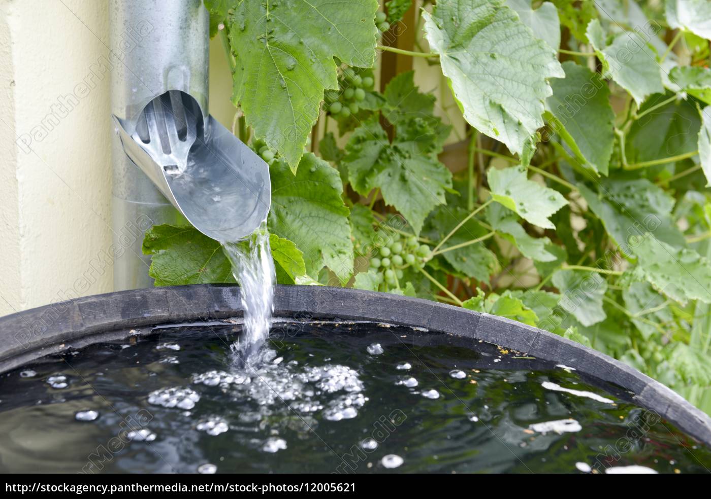 Wasserfass Regenwasserspeicher Wasserspeicher Lizenzfreies Bild