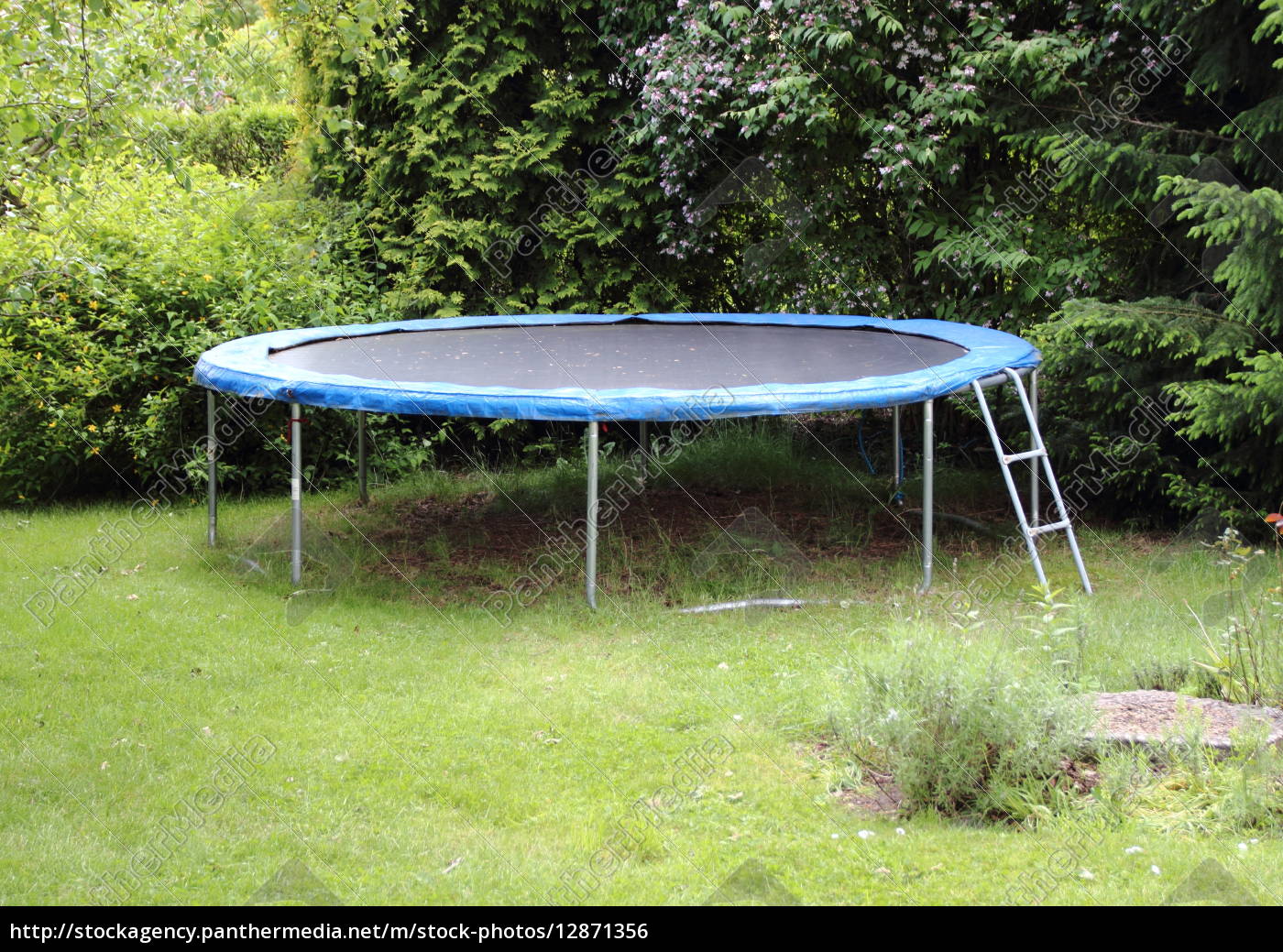 Blau Trampolin Auf Dem Rasen Im Garten Lizenzfreies Foto