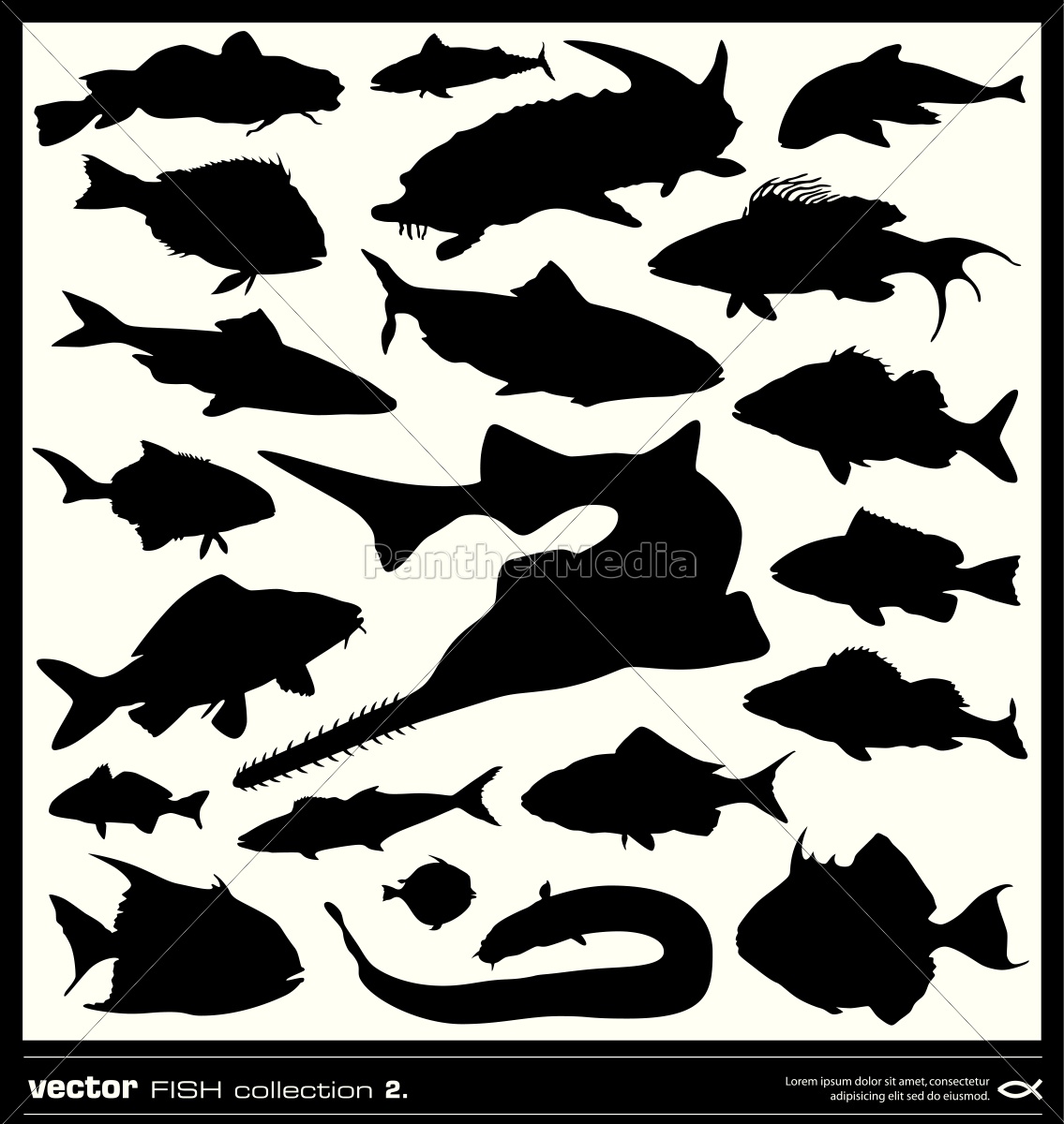 set von fisch-silhouetten. vektor. - Stock Photo - #12930766