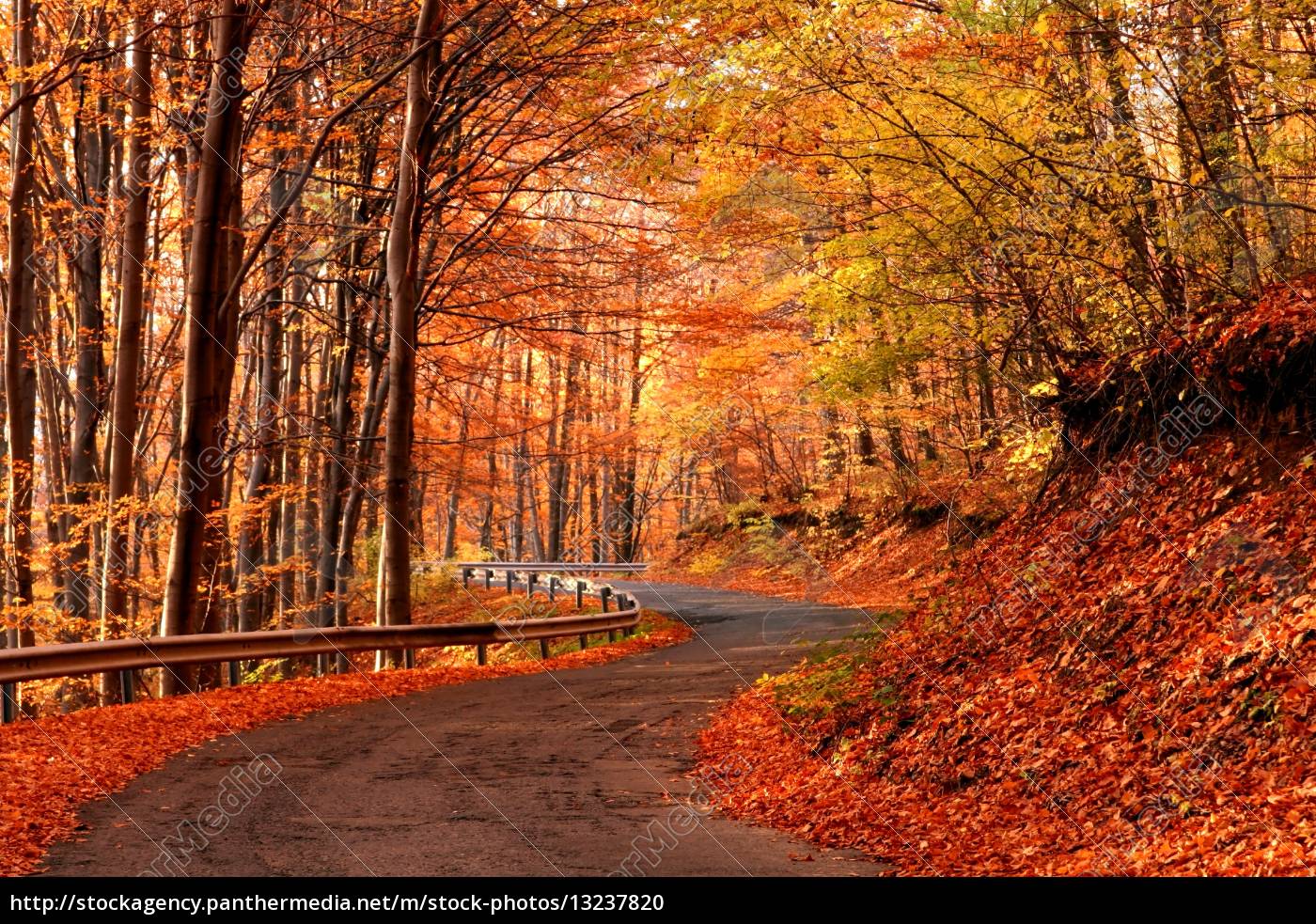 Wald Berg Saison Herbst Natur Weg Landstrasse Ausflug Lizenzfreies Foto Bildagentur Panthermedia