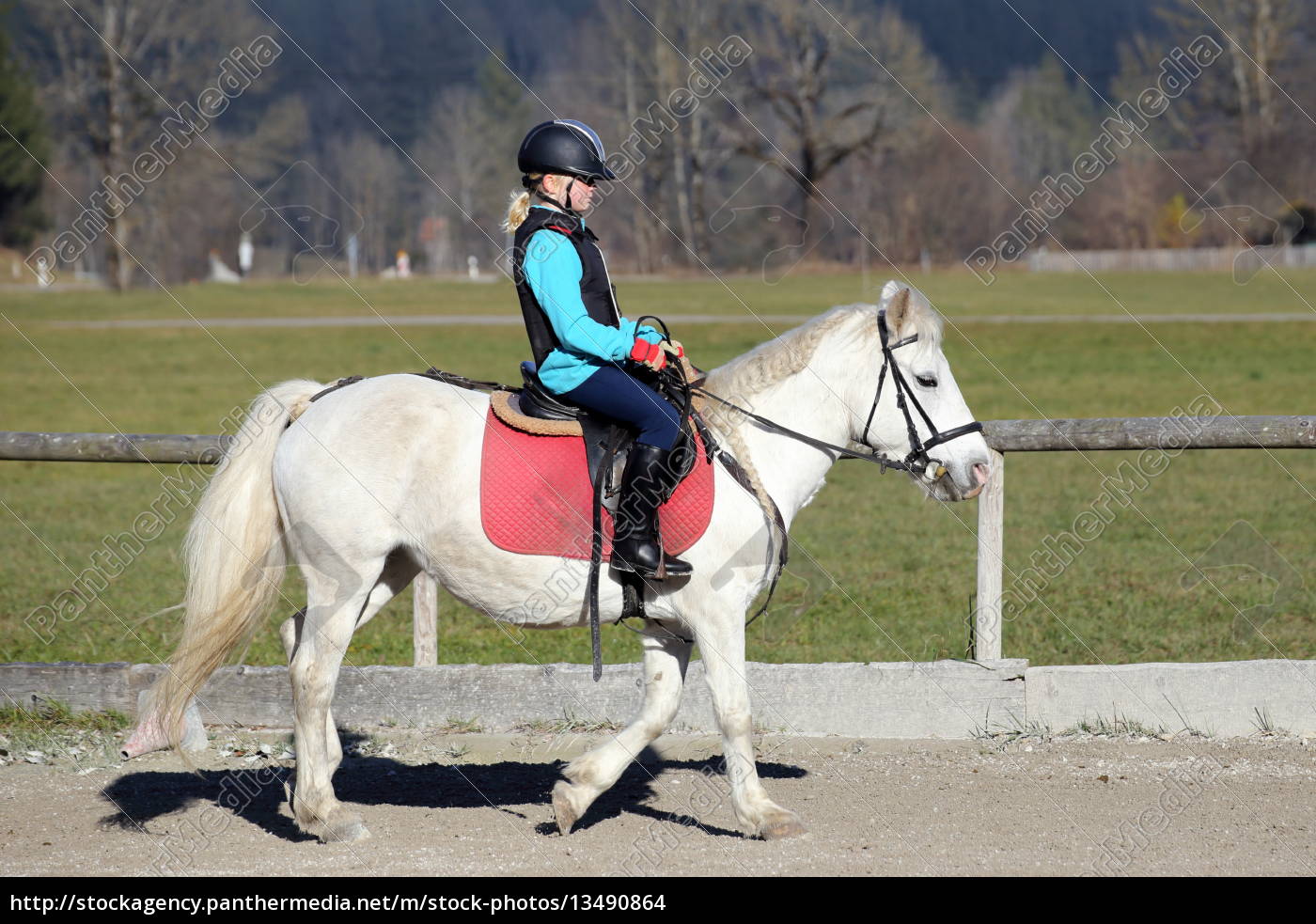 Junges Madchen Reitet Auf Pferd Lizenzfreies Foto Bildagentur Panthermedia