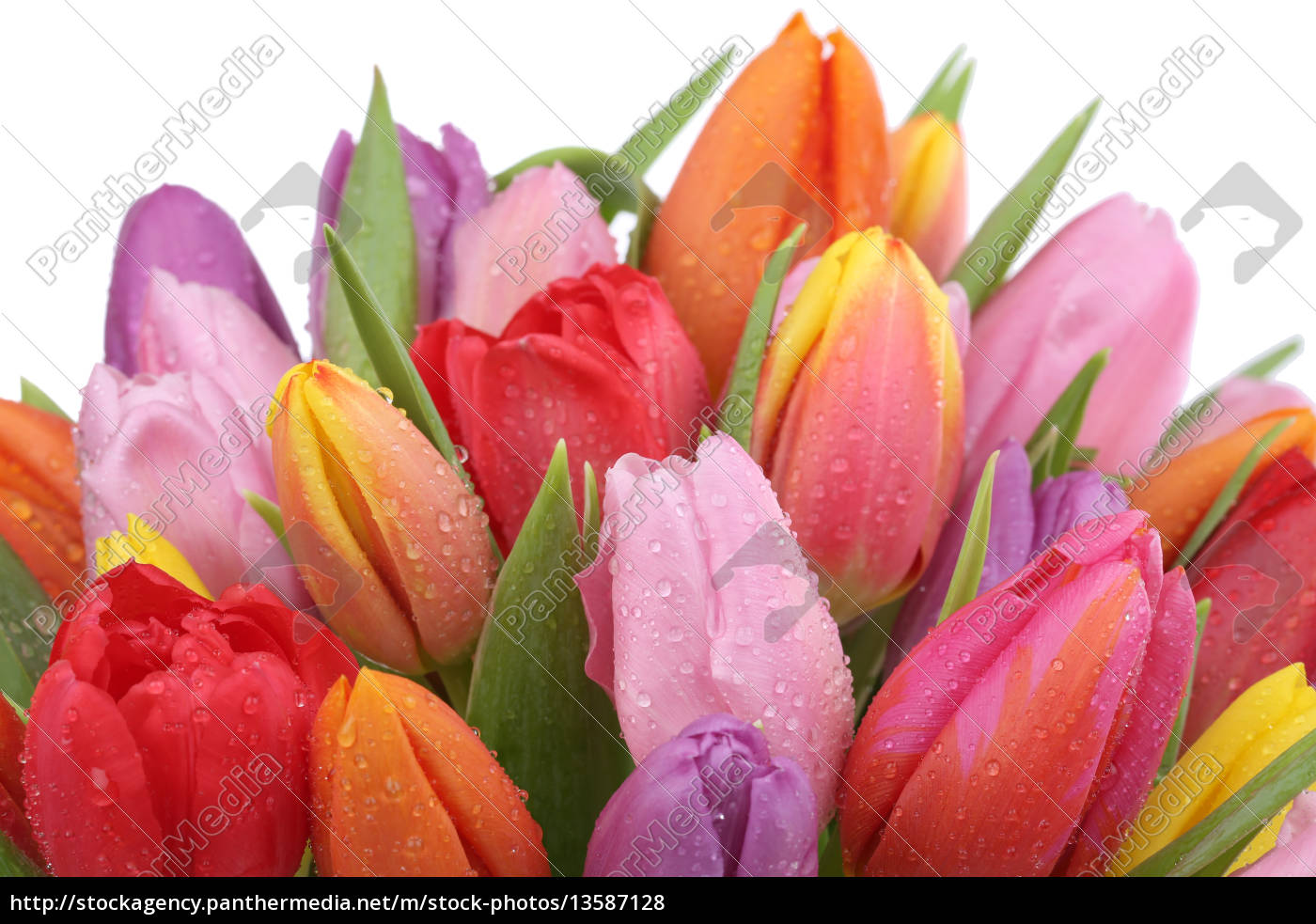 Blumenstrauß mit Tulpen im Frühling Geburtstag oder Lizenzfreies Foto