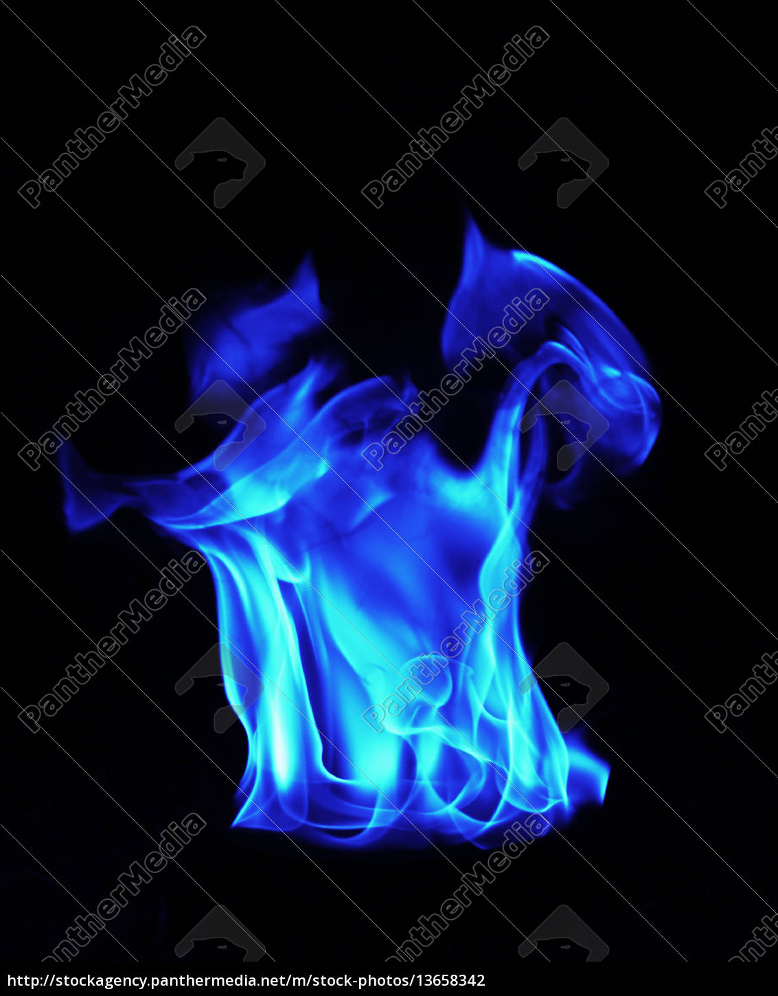 Blaue Feuer Flammen Auf Schwarzem Hintergrund Stock Photo 13658342