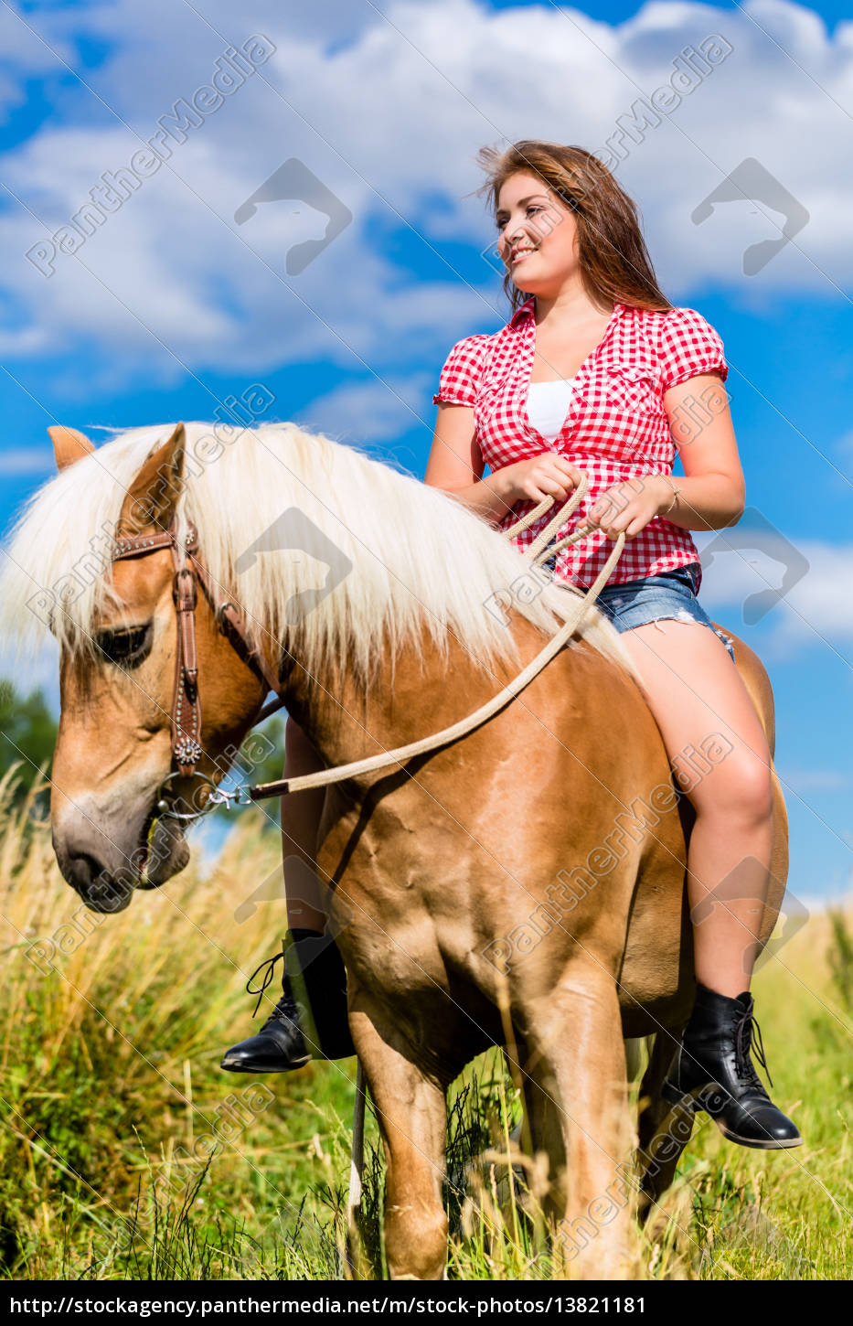 Frau Reitet Auf Pferd In Sommer Wiese Lizenzfreies Bild 13821181 Bildagentur Panthermedia