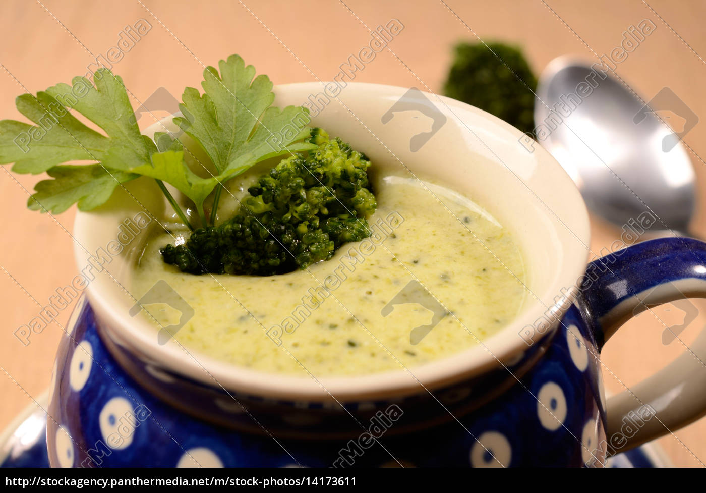 brokkoli-cremesuppe - Stockfoto - #14173611 | Bildagentur PantherMedia