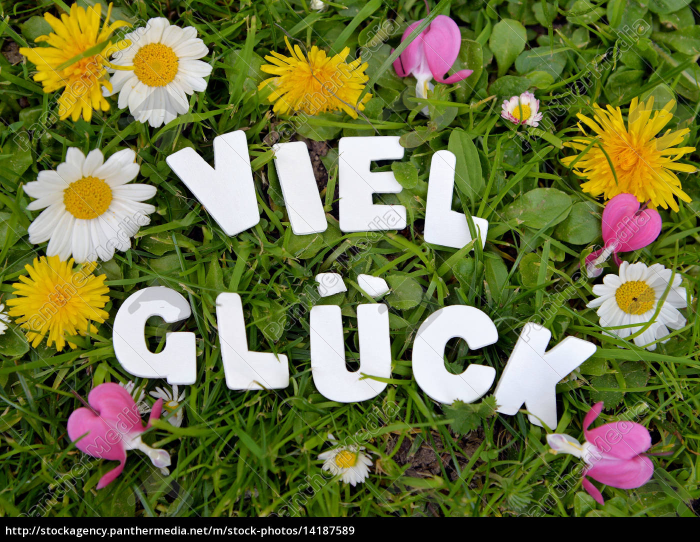 Viel Glück Text Lizenzfreies Bild 14187589 Bildagentur PantherMedia