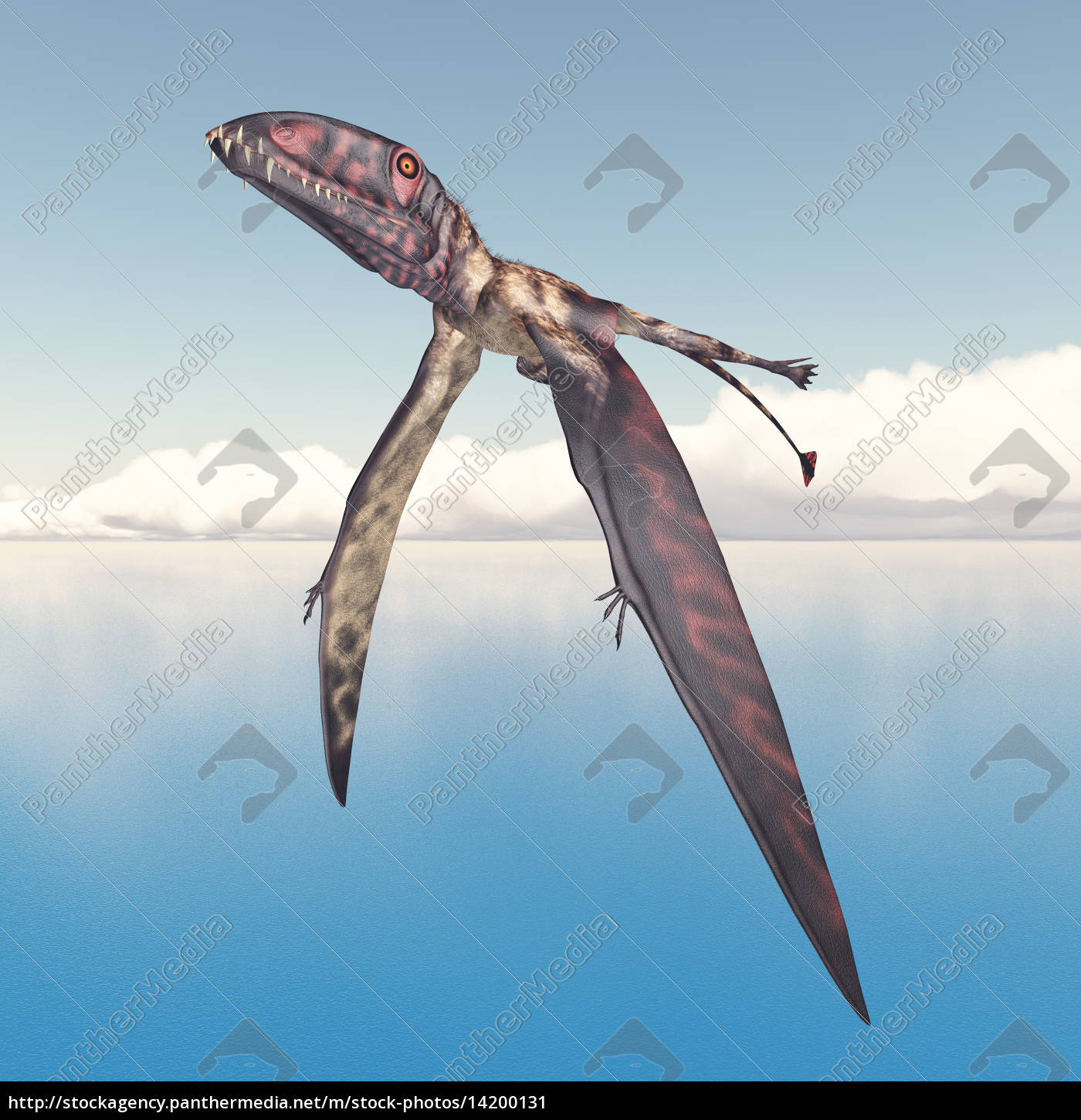 Flugsaurier Dimorphodon - Stockfoto - #14200131 | Bildagentur PantherMedia