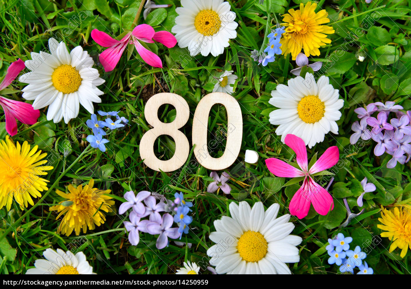 Die Besten 80 Geburtstag Blumen – Beste Wohnkultur, Bastelideen, Coloring und Frisur-Inspiration