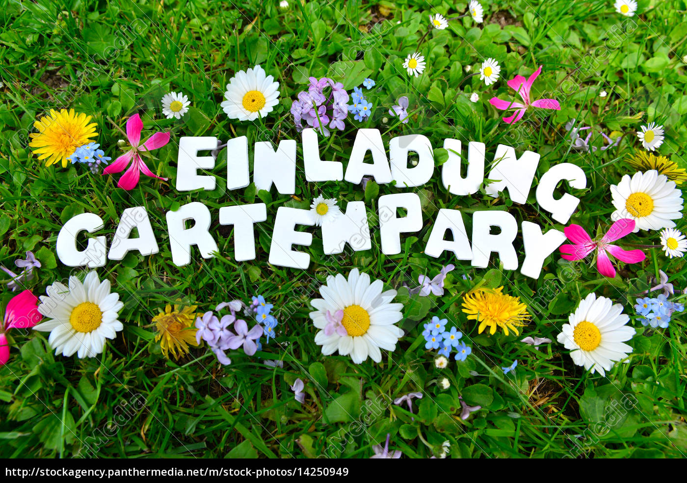 Gartenparty Gartenfest Text Lizenzfreies Bild 14250949