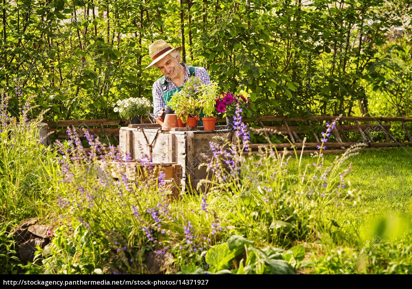 Garten Gartner Strohhut Pflanzen Lizenzfreies Bild 14371927 Bildagentur Panthermedia