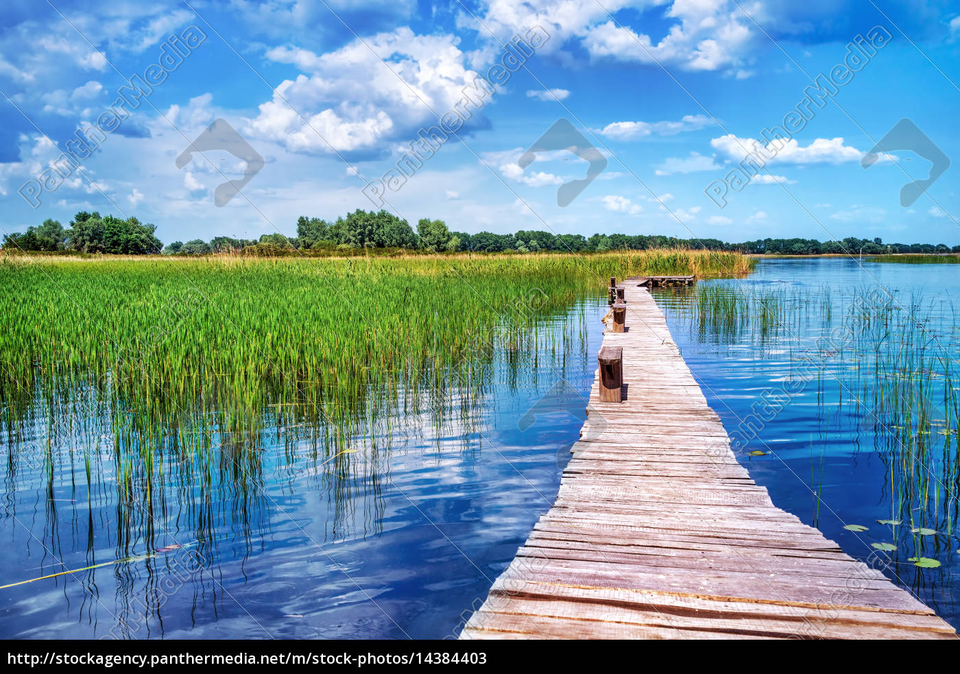 schöne natur landschaft - Stockfoto - #14384403 | Bildagentur PantherMedia