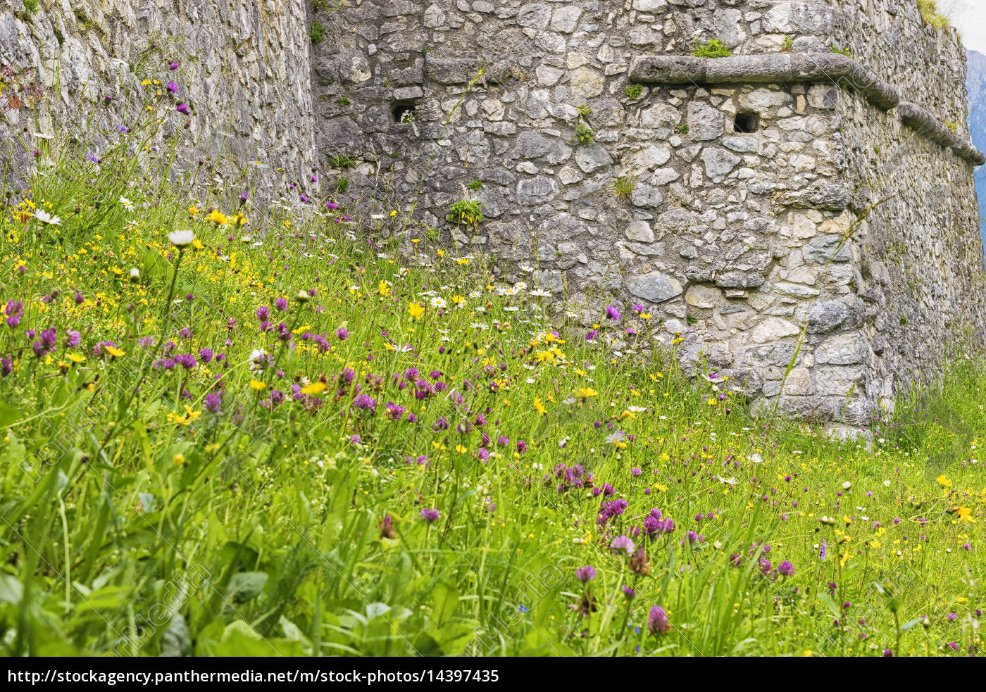 wiese mit burg Stockfoto 14397435 Bildagentur PantherMedia