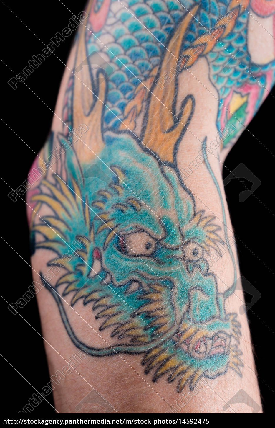 Tattoos bilder drachen 30 Drachen