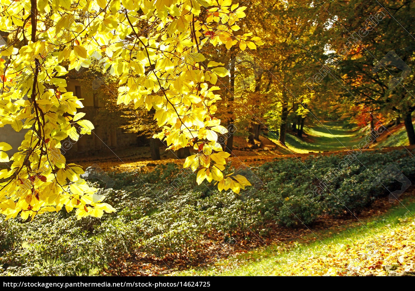 Herbstlandschaft Lizenzfreies Bild 14624725 Bildagentur Panthermedia