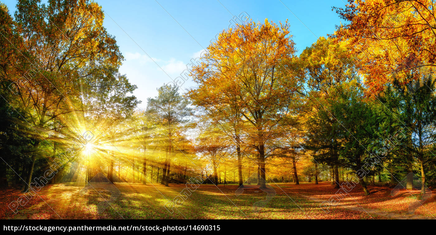 Idyllischer Naturpark im Herbst bei Sonnenschein - Lizenzfreies Bild ...