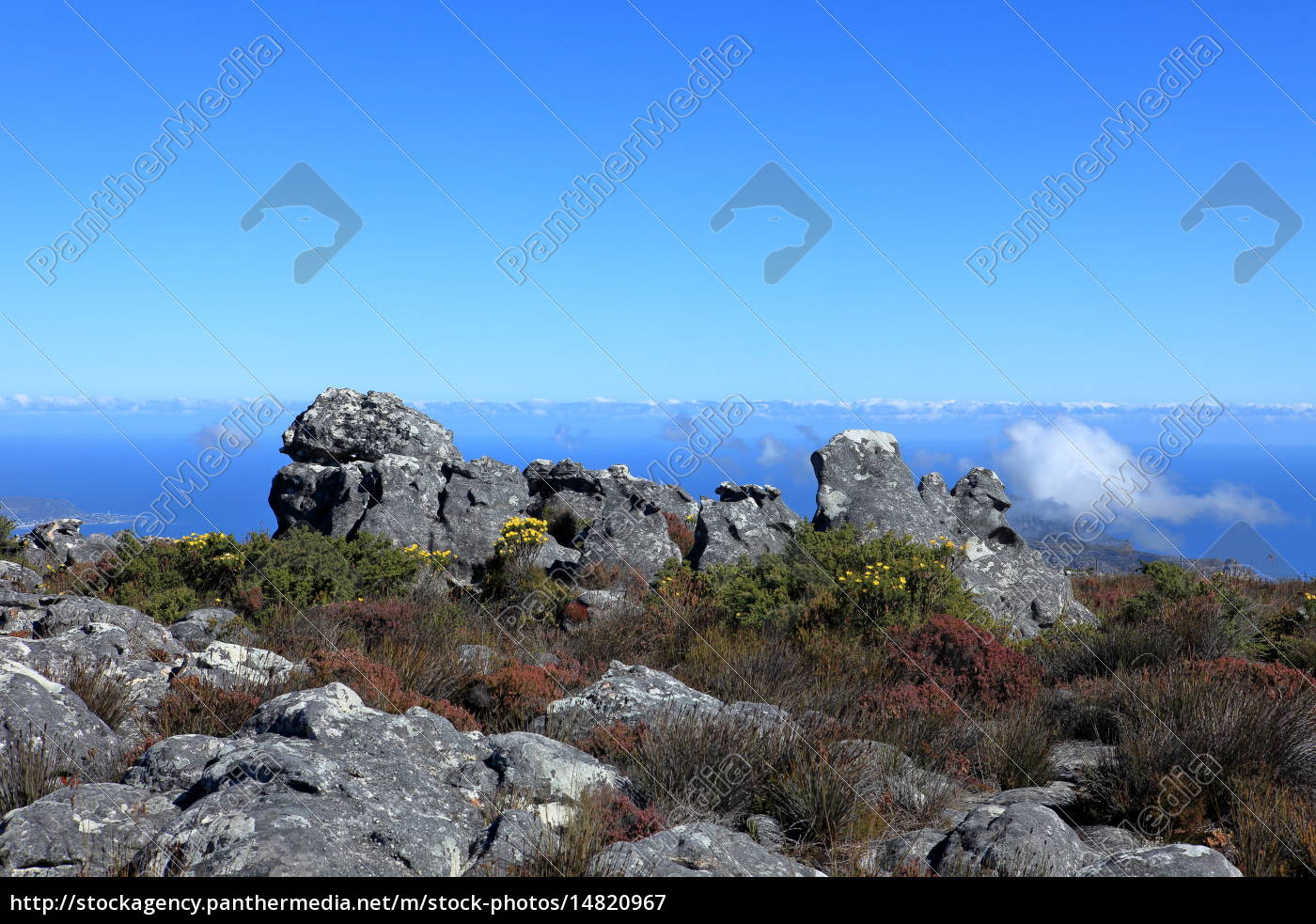 Der Tafelberg Bei Kapstadt In Sudafrika Lizenzfreies Bild Bildagentur Panthermedia