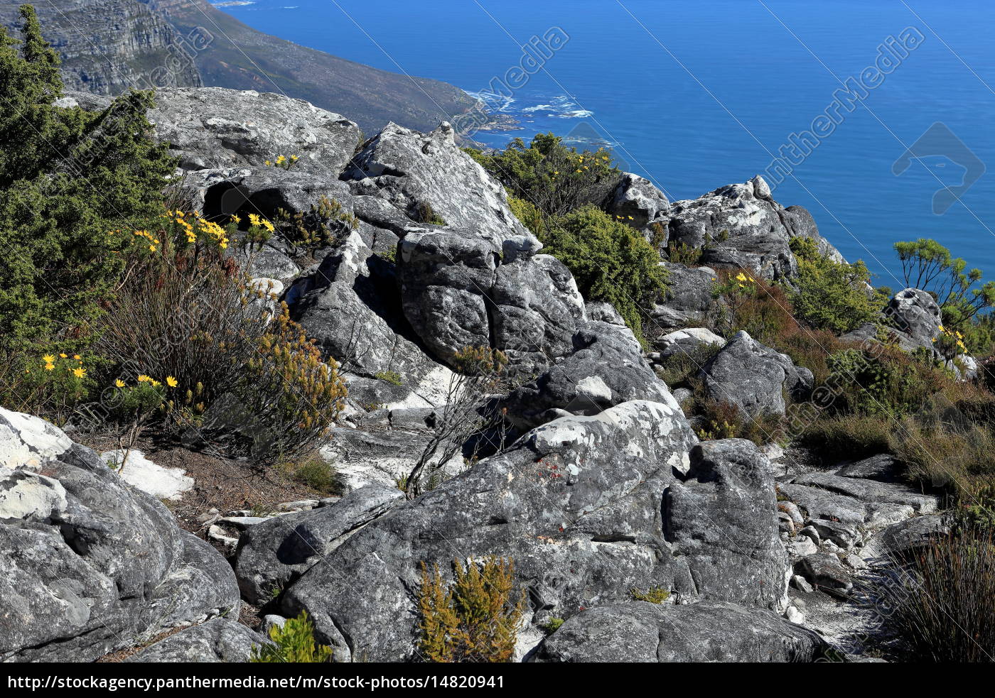 Der Tafelberg Bei Kapstadt In Sudafrika Lizenzfreies Bild 14820941 Bildagentur Panthermedia