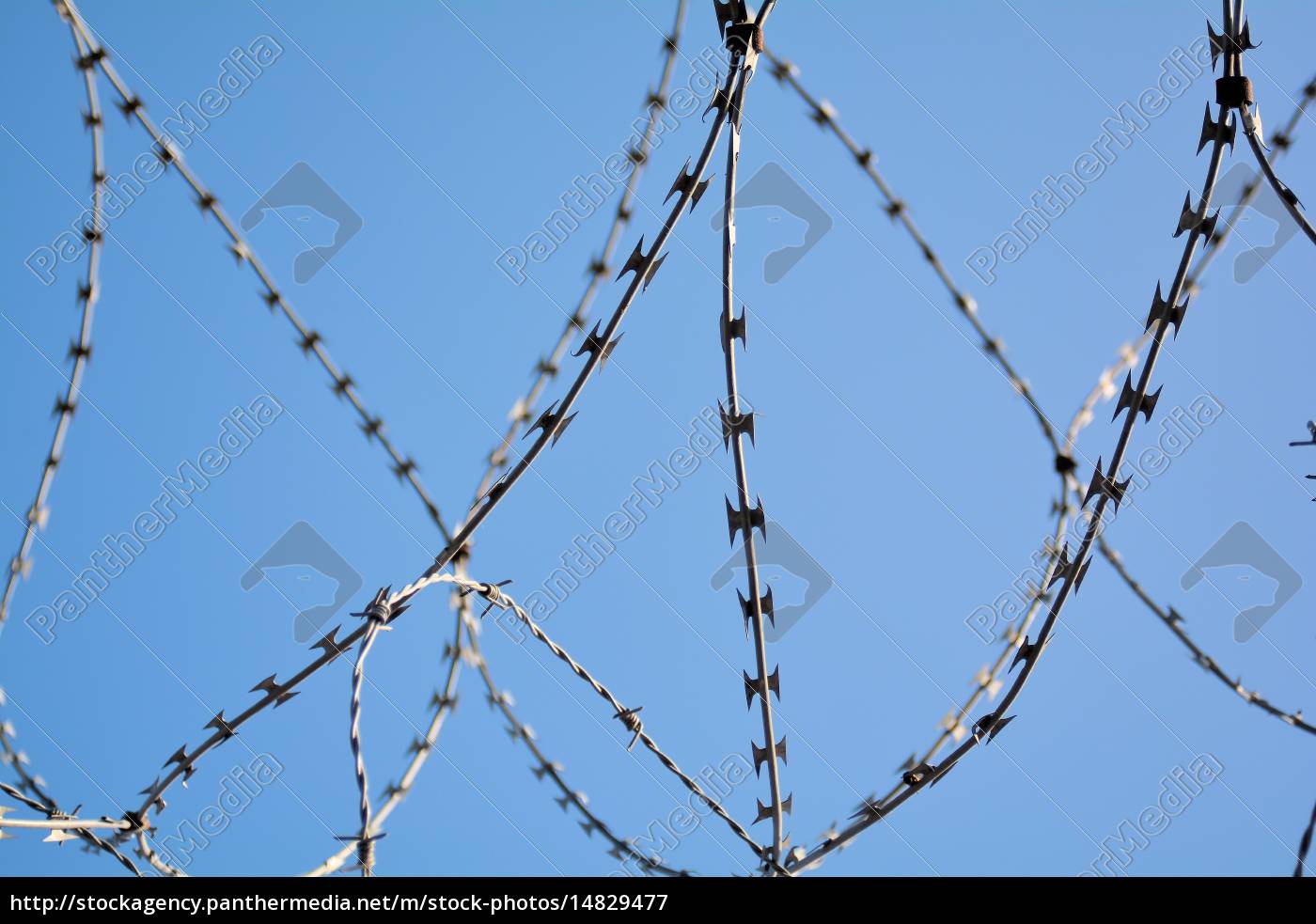 Stacheldraht An Einem Zaun - Stockfoto - #14829477 | Bildagentur  Panthermedia