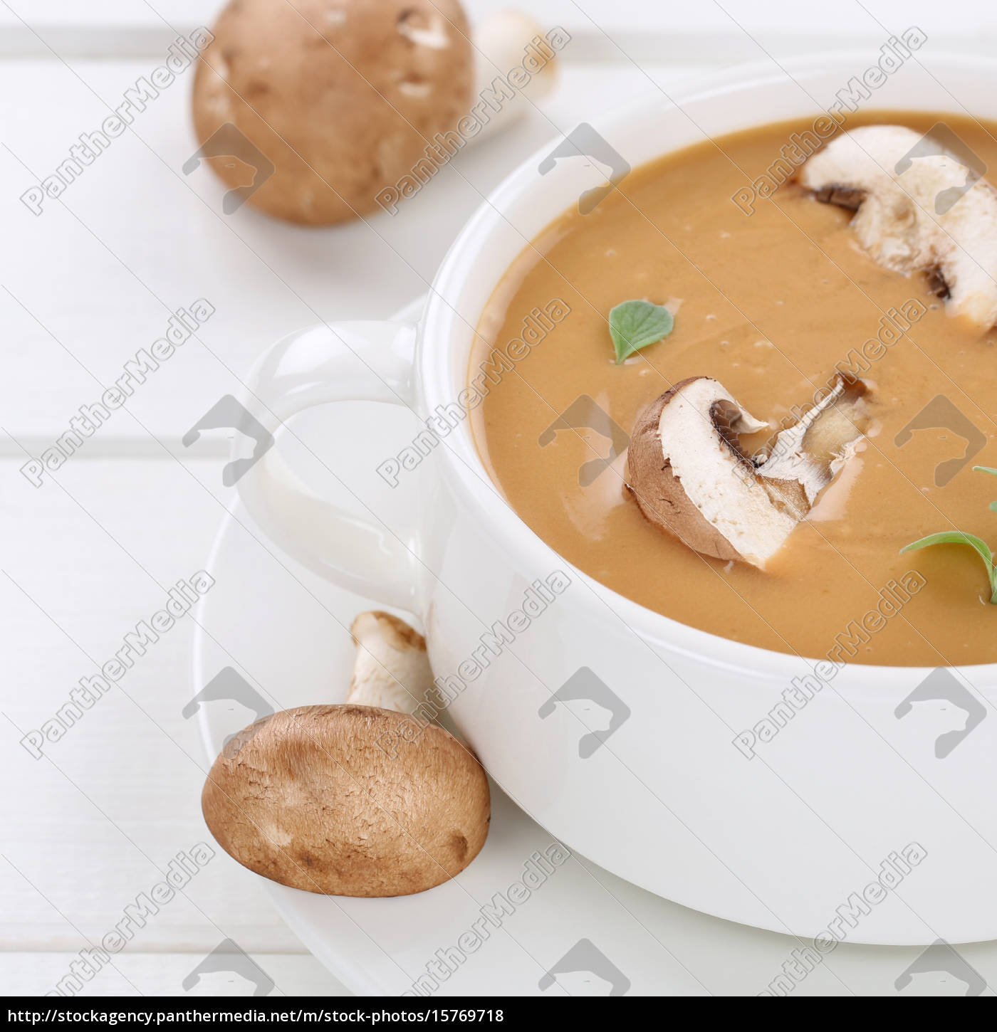 Gesunde Ernährung Pilzsuppe Pilz Champignons Suppe - Stock Photo ...