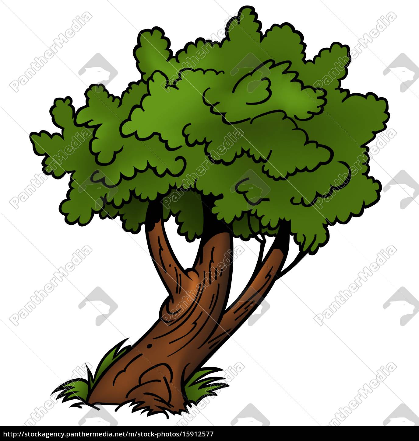 Dezestiger Baum Lizenzfreies Bild 15912577 Bildagentur Panthermedia