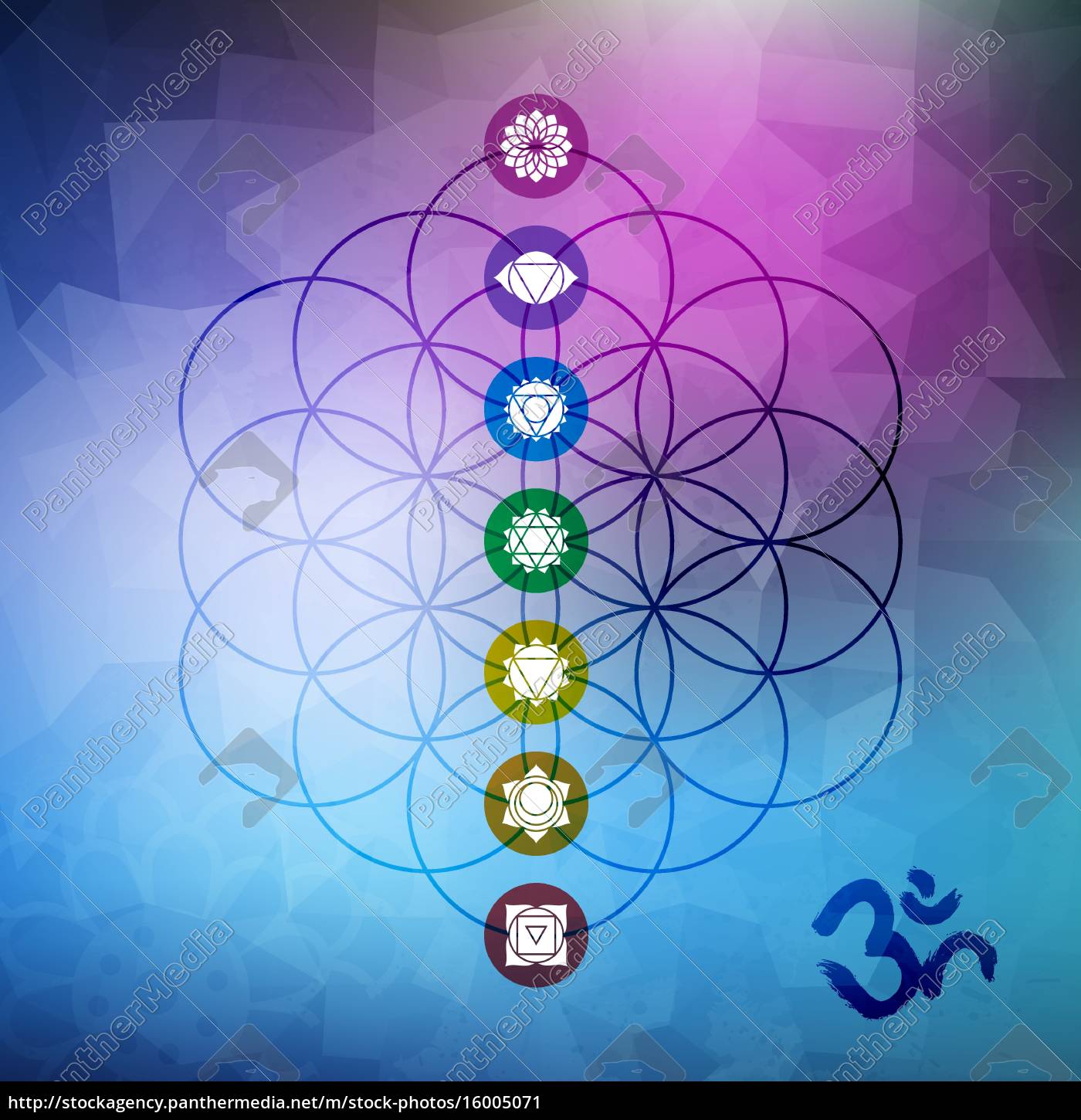 Heilige Geometrie Blume Des Lebens Mit Chakra Icons Lizenzfreies Bild 16005071 Bildagentur Panthermedia