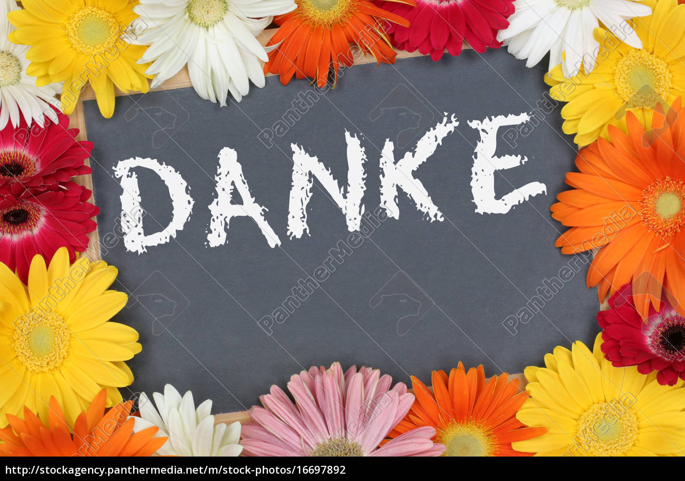 Danke Bedanken Karte Garten Mit Bunten Blumen Blume Lizenzfreies Foto Bildagentur Panthermedia