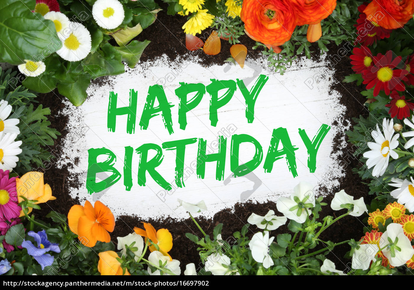 Stock Bild 16697902 Happy Birthday Geburtstag Karte Geburtstagskarte Mit Blumen