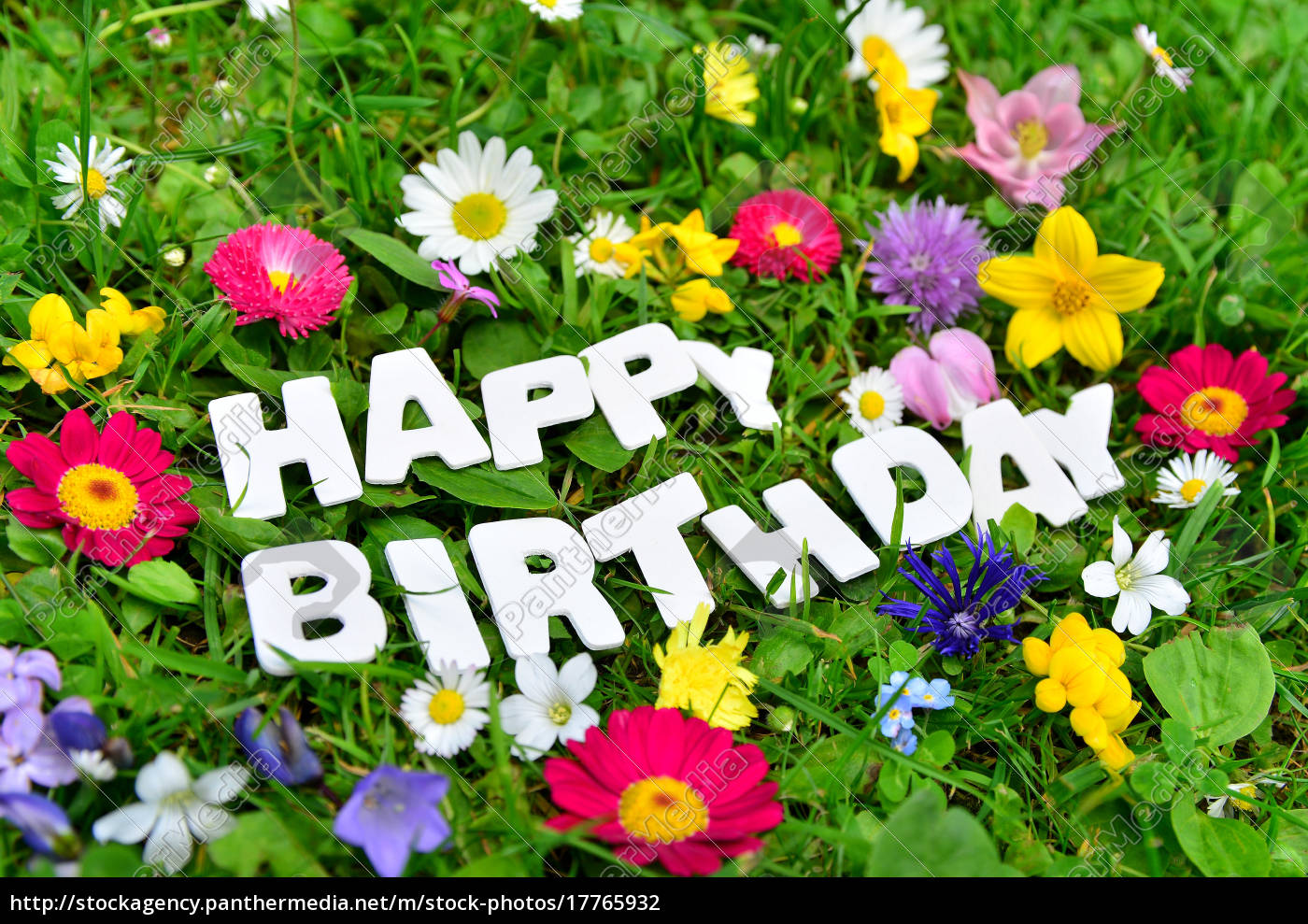 Happy Birthday Text Auf Bunter Blumen Wiese Lizenzfreies Foto Bildagentur Panthermedia