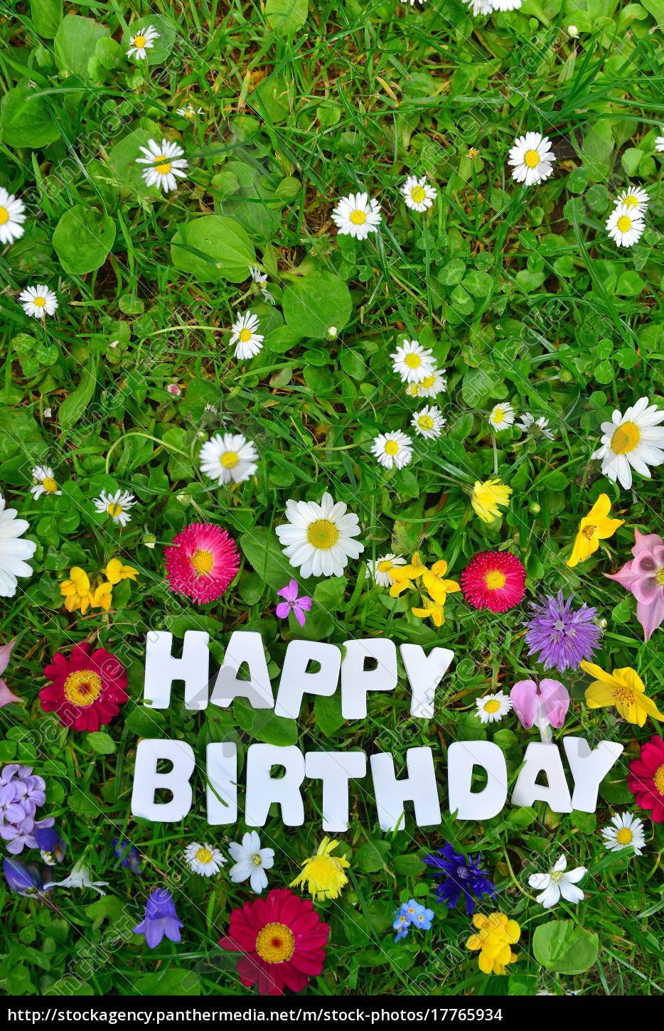 38++ Happy birthday to you bilder , Happy Birthday Text auf bunter Blumen Wiese Stockfoto 17765934